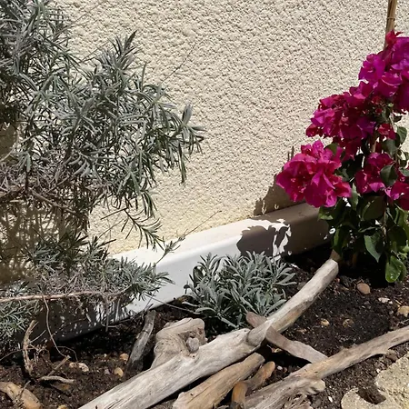 Holiday home Du Grand Large Marseillan (Herault)